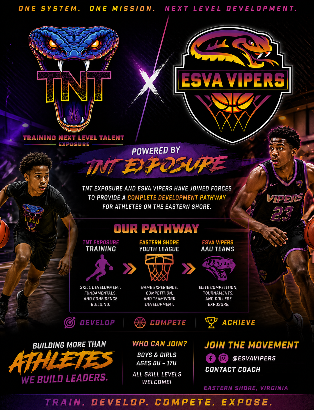 ESVA Vipers Poster